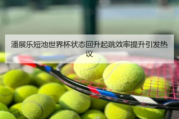潘展乐短池世界杯状态回升起跳效率提升引发热议