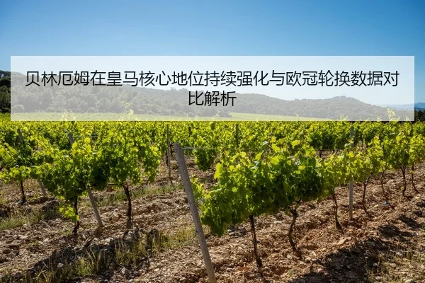 贝林厄姆在皇马核心地位持续强化与欧冠轮换数据对比解析